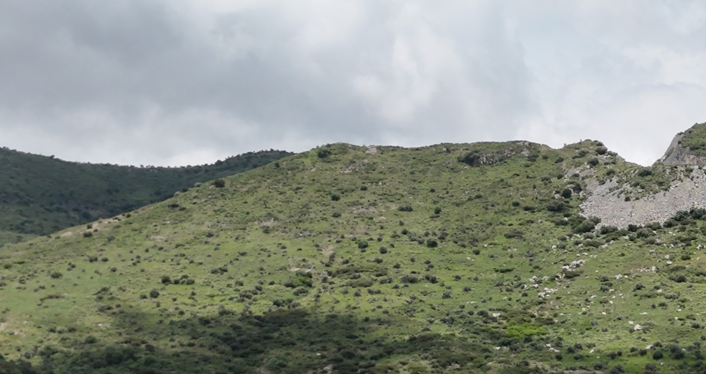 Topografía y Linderos del Terreno